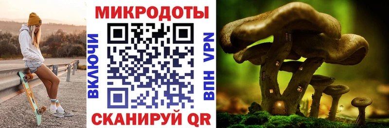 Псилоцибиновые грибы прущие грибы  Яблоновский 